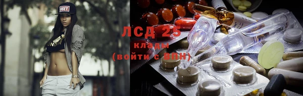 твердый Арсеньев