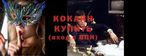 твердый Арсеньев