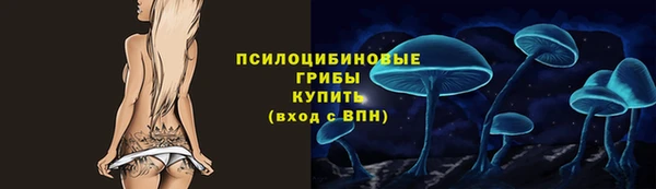 твердый Арсеньев