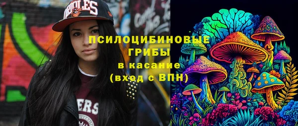 твердый Арсеньев