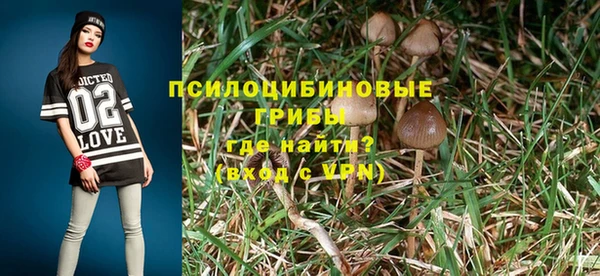 гашик Армянск